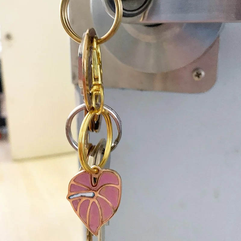 Antherium-hang.jpg
