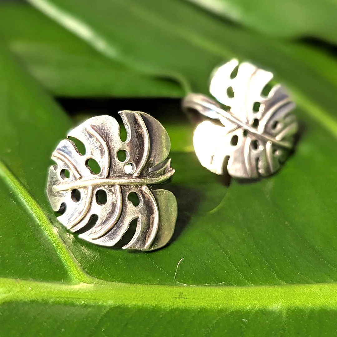 Monstera2.jpg