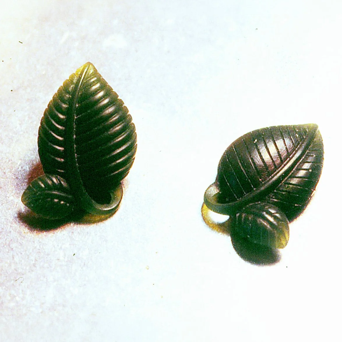 LandR-Leaves.jpg