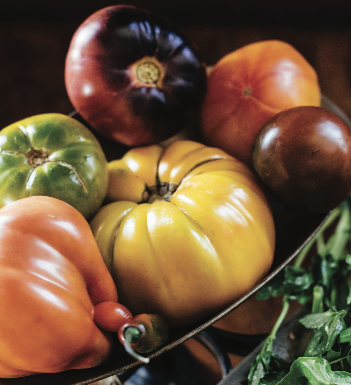 Farmer's Market Ratatouille