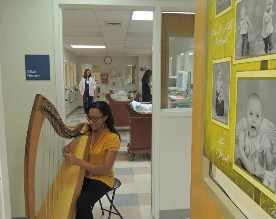 Harping in the Hospitals.jpg