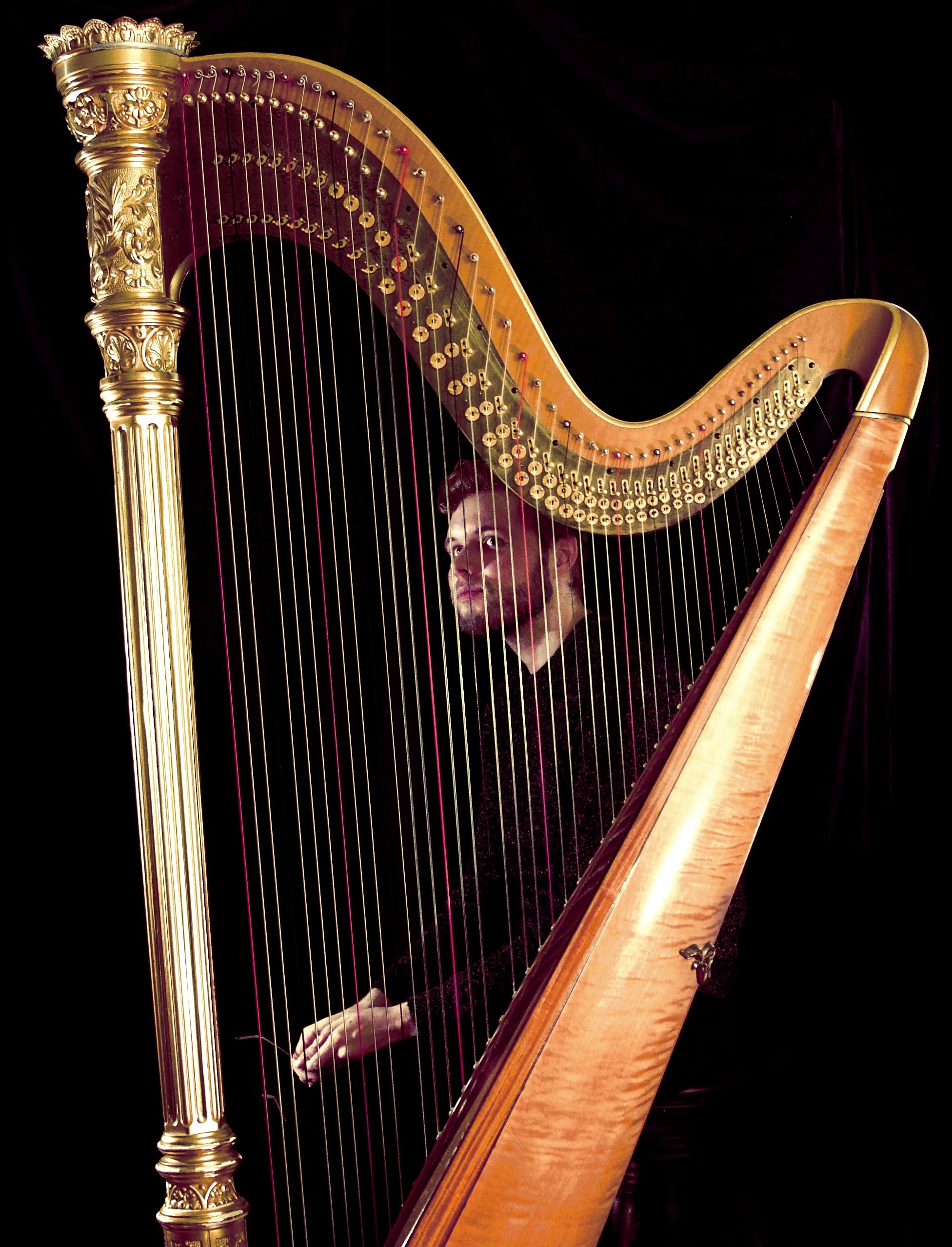 The Virtuoso Harp