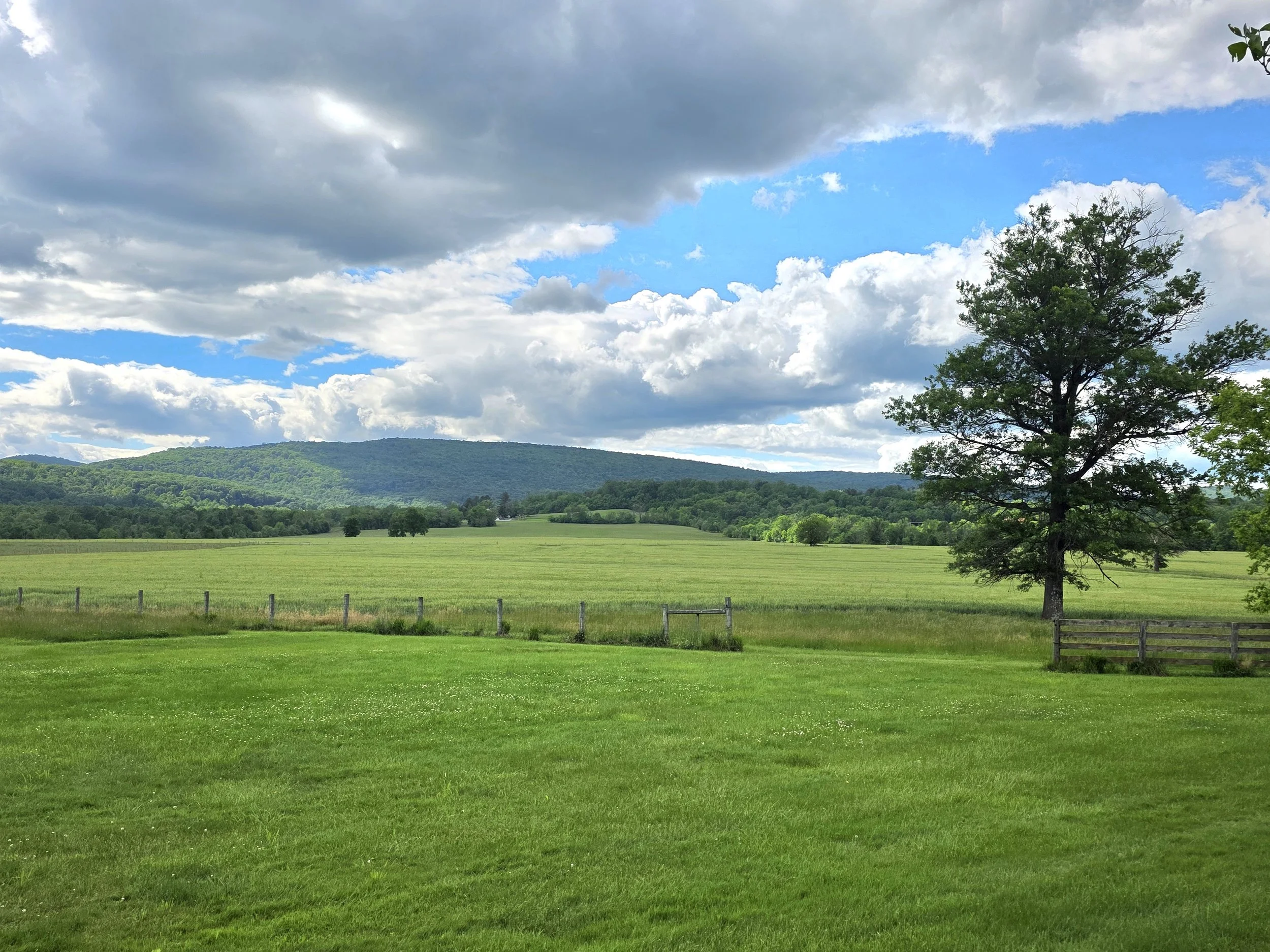Green Spring Farm Photo.jpg