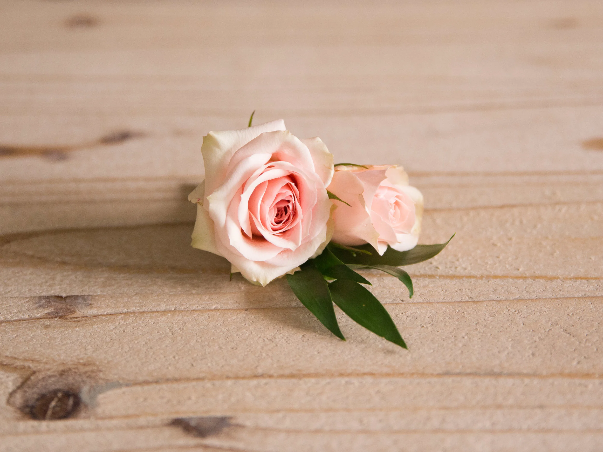 Blush Boutonniere- $18