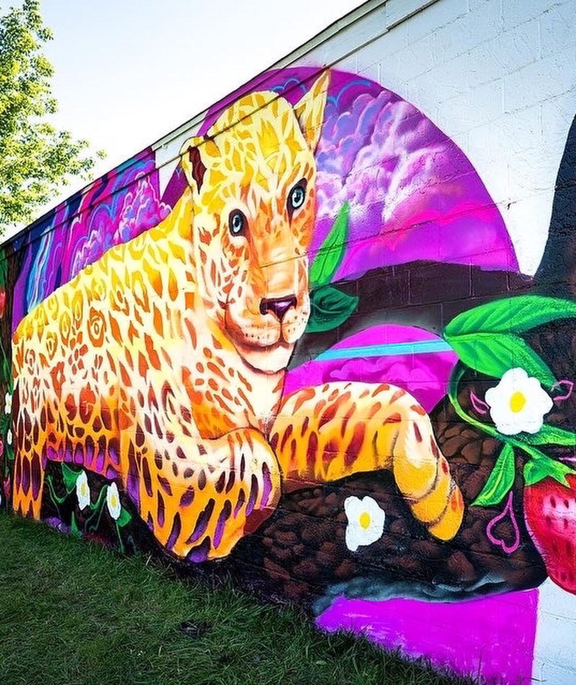 Looking back at my time in Battle Creek MI for @colorthecreek and getting the chance to produce this jaguar on the side of @hexxdesignco and with the help of @themasacenter . The iconic animal is symbolic to many native cultures in Mexico, praised as