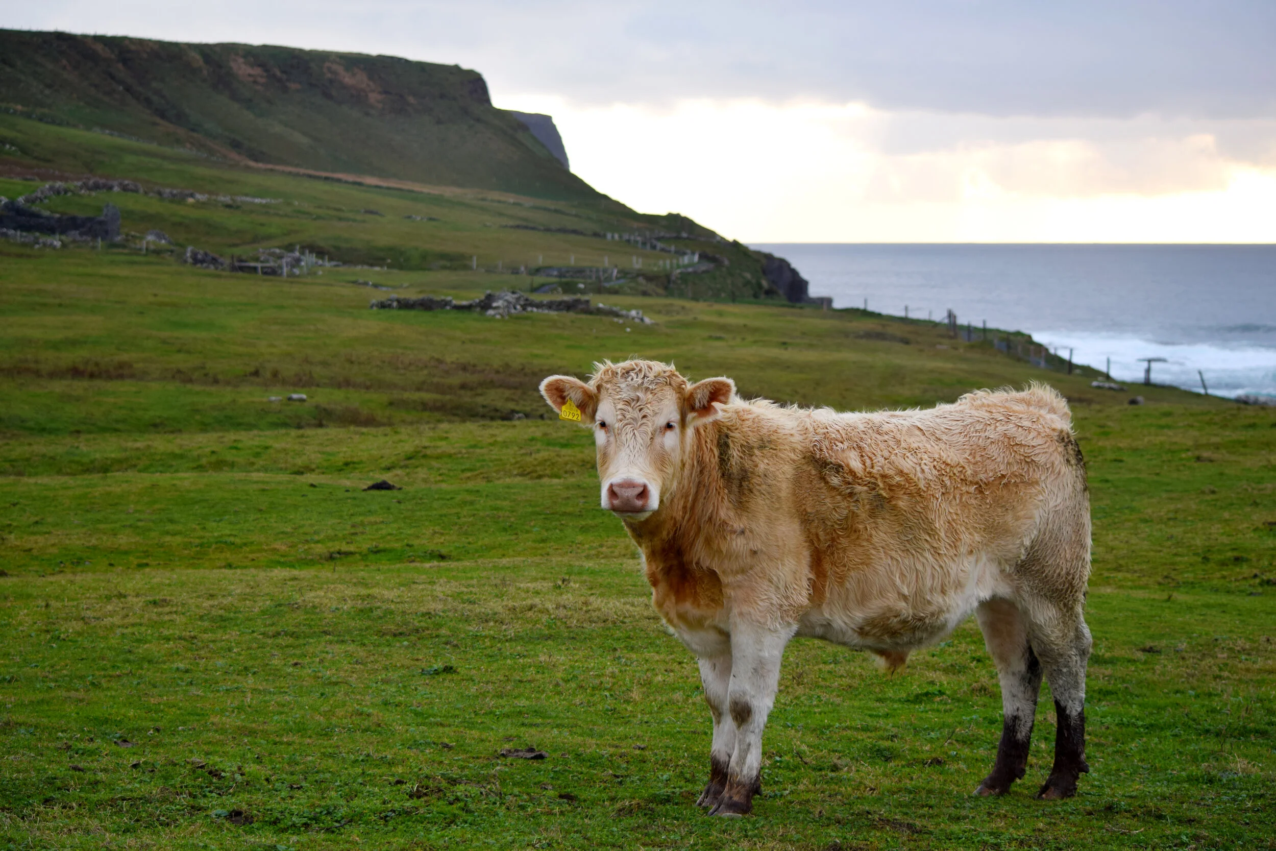Geoffrey at Cliffs.jpg