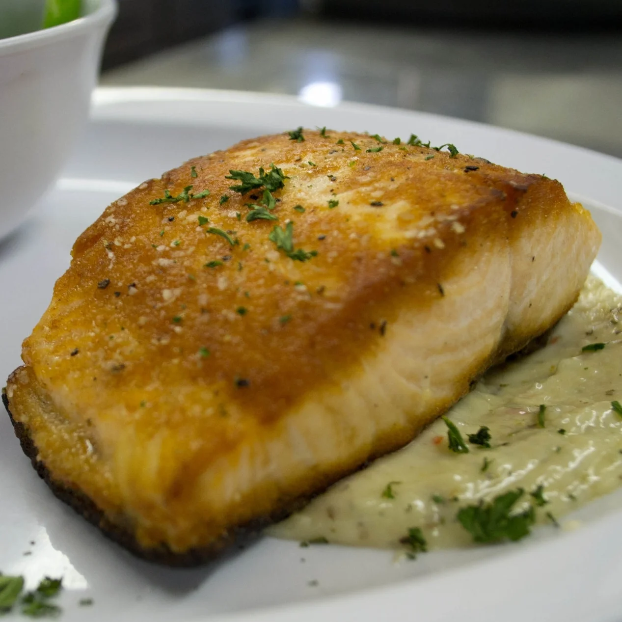 Salmon