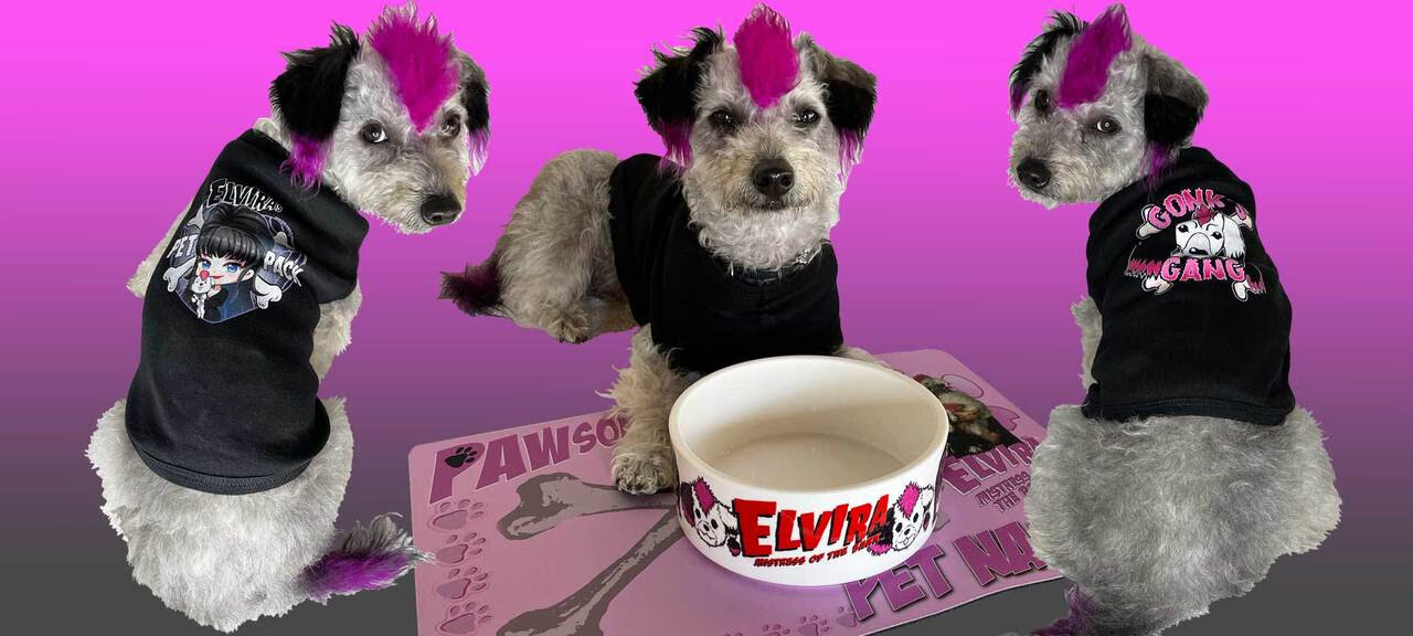 Gonk Gang Banner.jpg