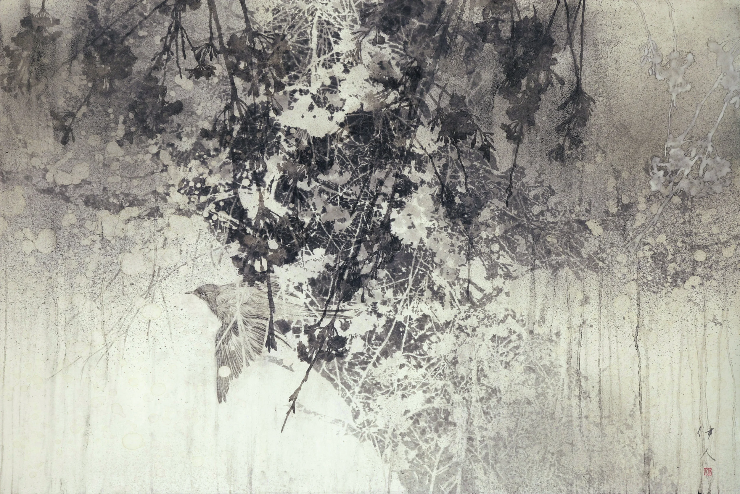 Yoshihito Kawase ‘Cherry Blossoms‘ 2015