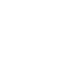 SAI_Cube_White_Small.png