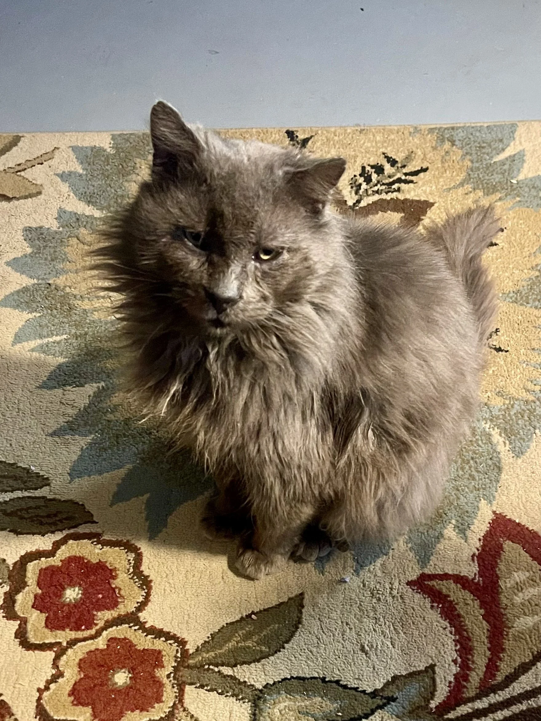 IMG_20260123_123313 (1).jpg