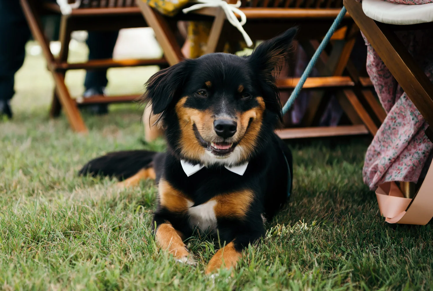 backyard-wedding-texas-42.jpg