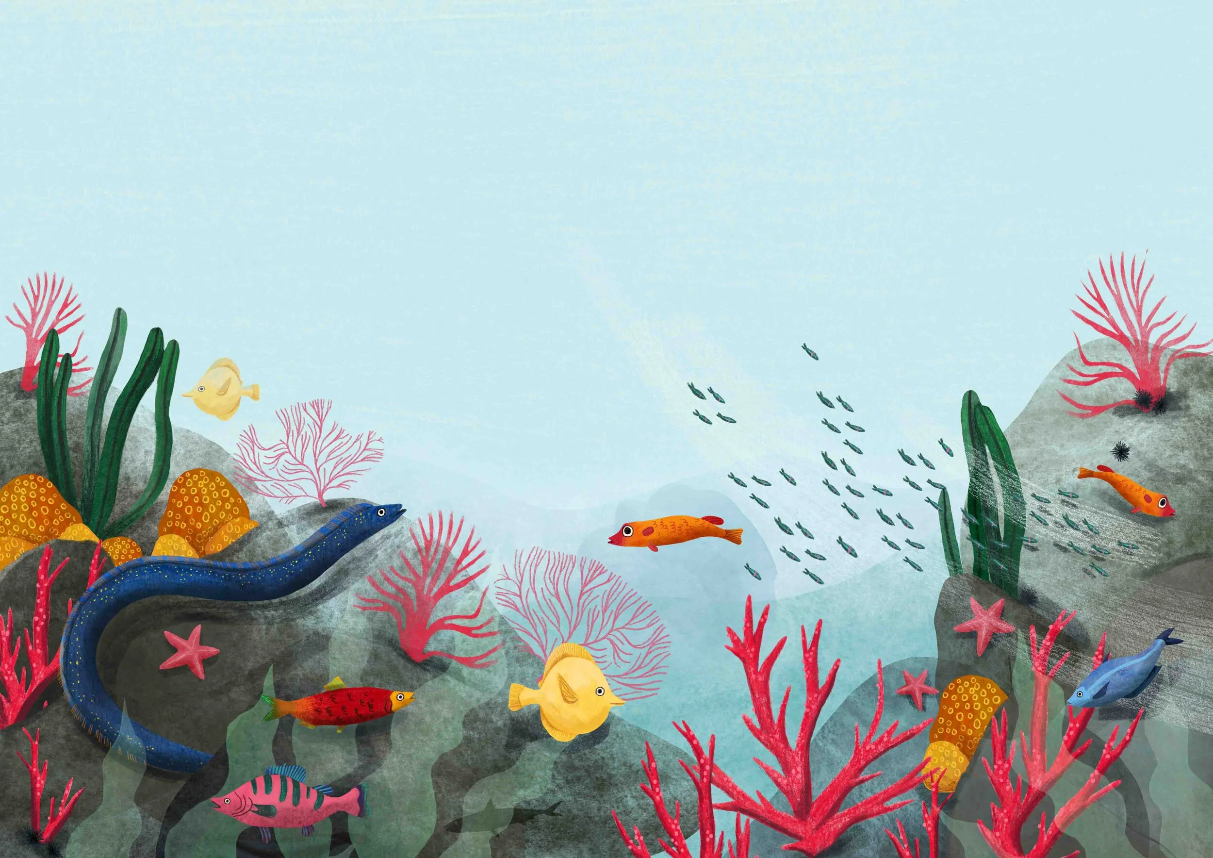 The Great Barrier Reef, Final-low res.jpg