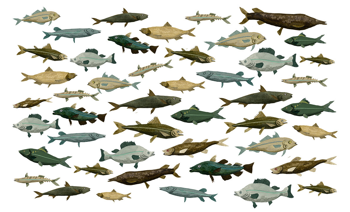 Melusine_Fishes_72dpi.jpg