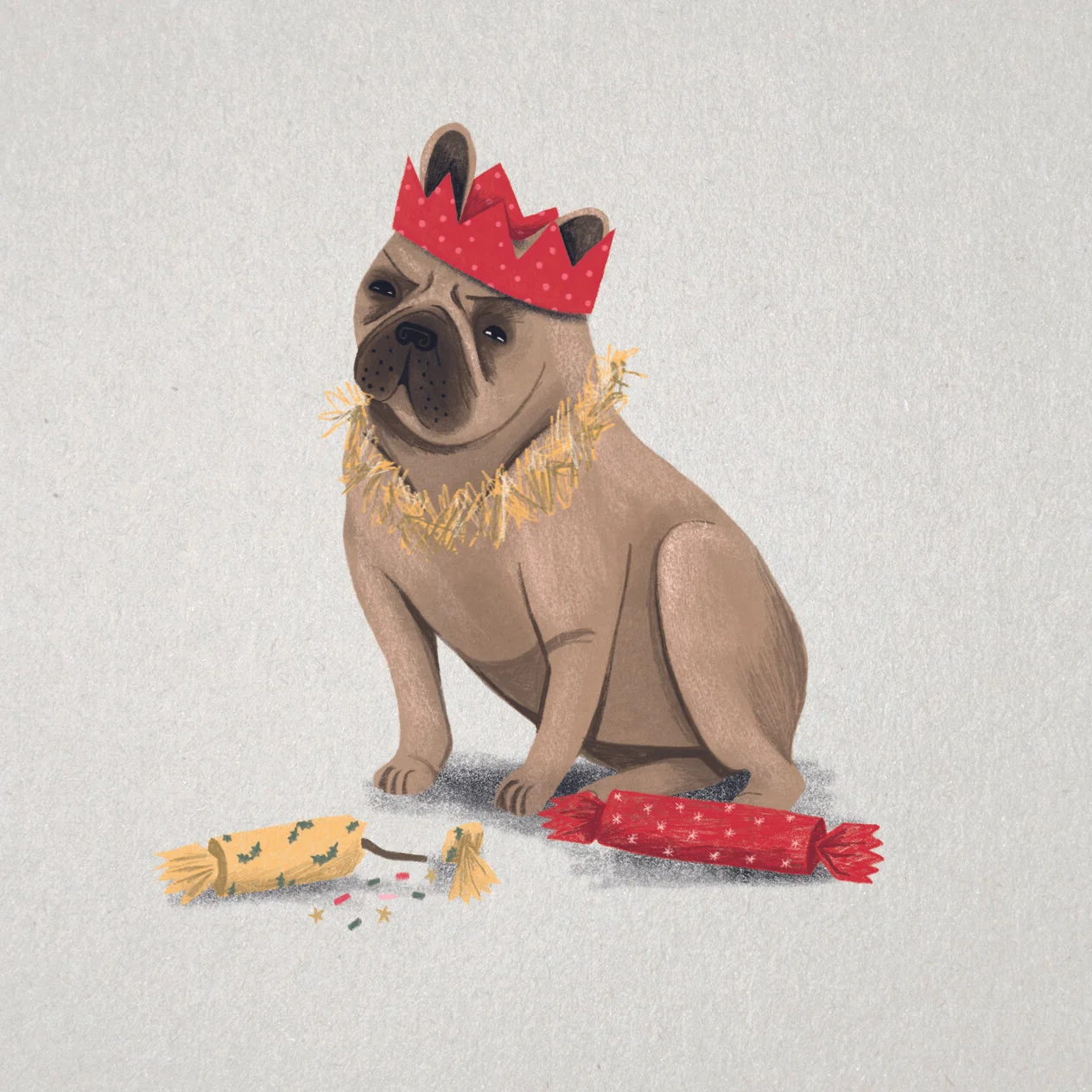 Frenchie with crackers.jpg