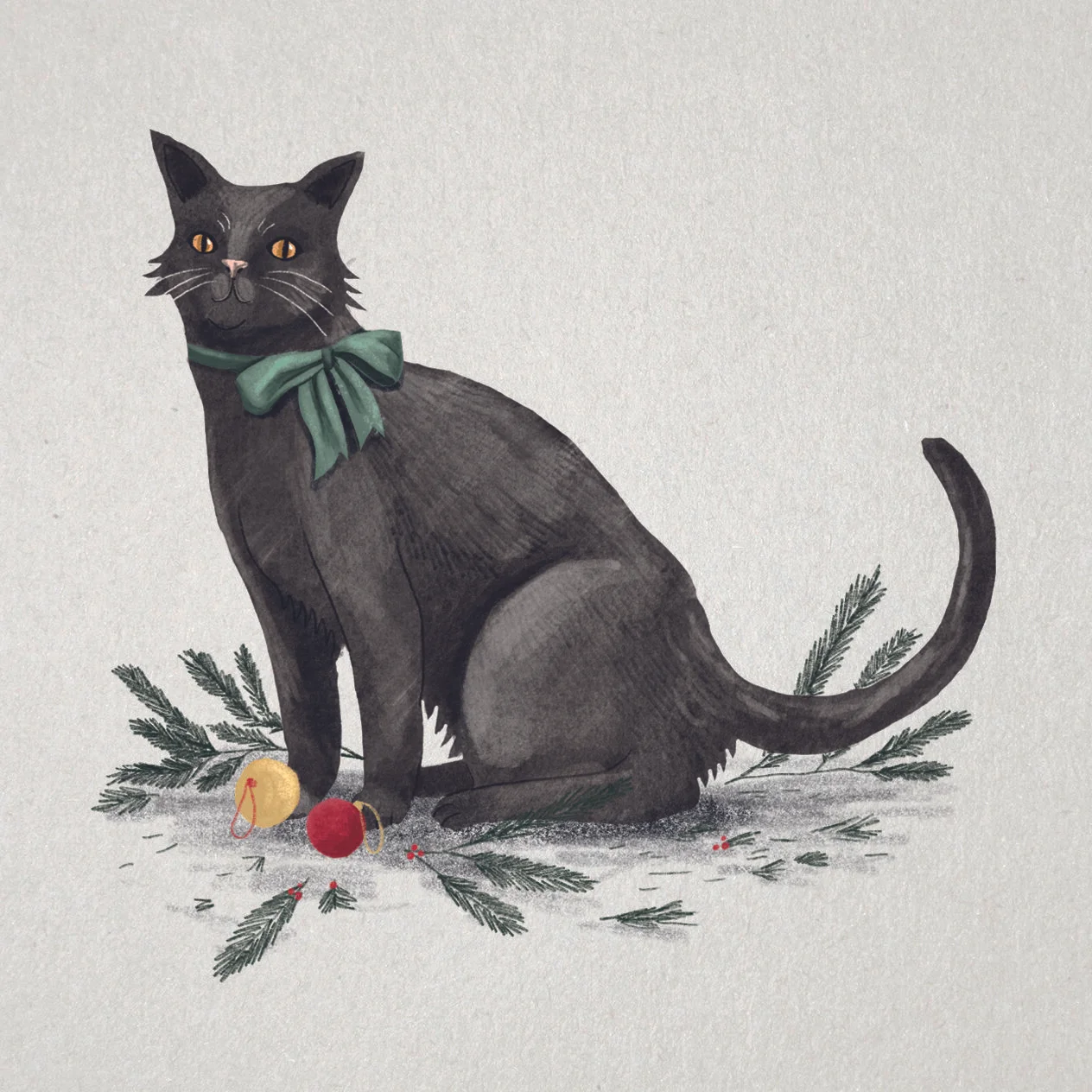 Cat with Bow.jpg