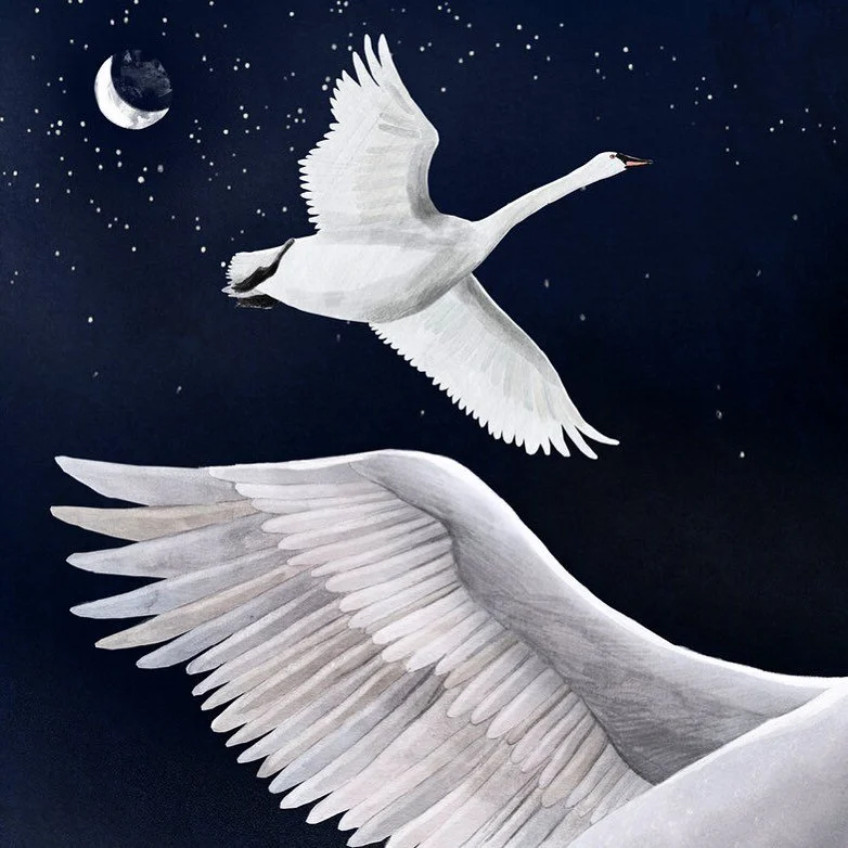 A golden oldie for Valentines. In case you didn&rsquo;t know, swans mate for life 🥰
.
.
.

#kidlitart
#picturebook
#childrensbookillustration
#illustrationforkids
#kidlitillustration
#childrensbooks
#picturebookillustration
#kidlit
#illustratorsofin