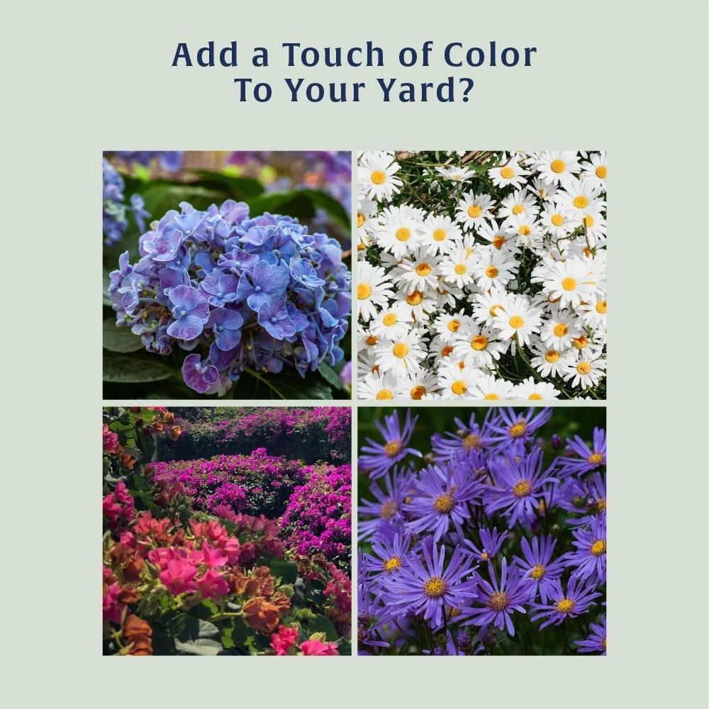 Wow, look at all these beautiful flowers! What's your favorite way to add a splash of color to your garden?
#JenniferDHoldsTheKey