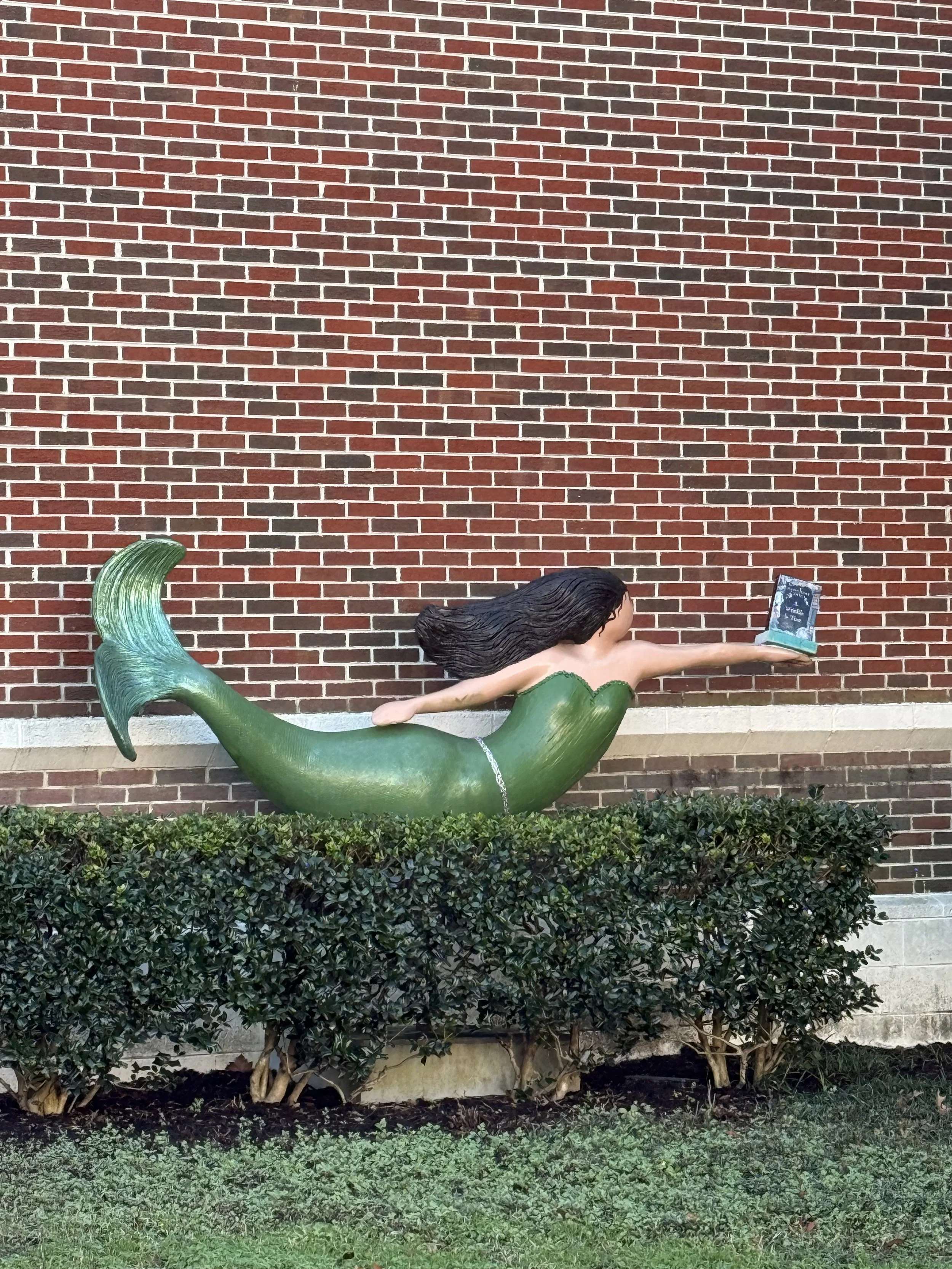 Norfolk Mermaids Van Wyck Library Ghent