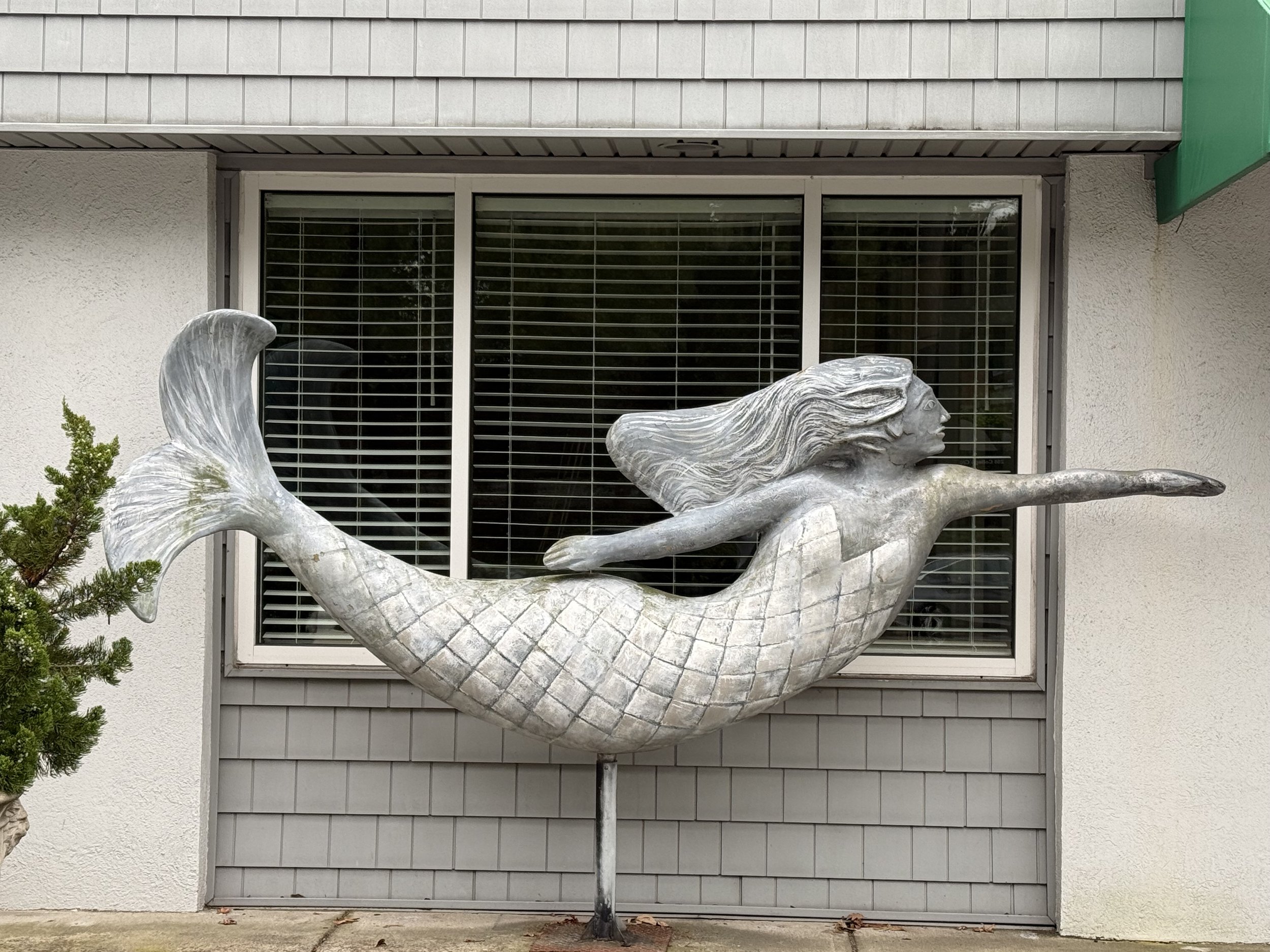 Norfolk Mermaids Howard Hanna Real Estate Services Downtown Ghent