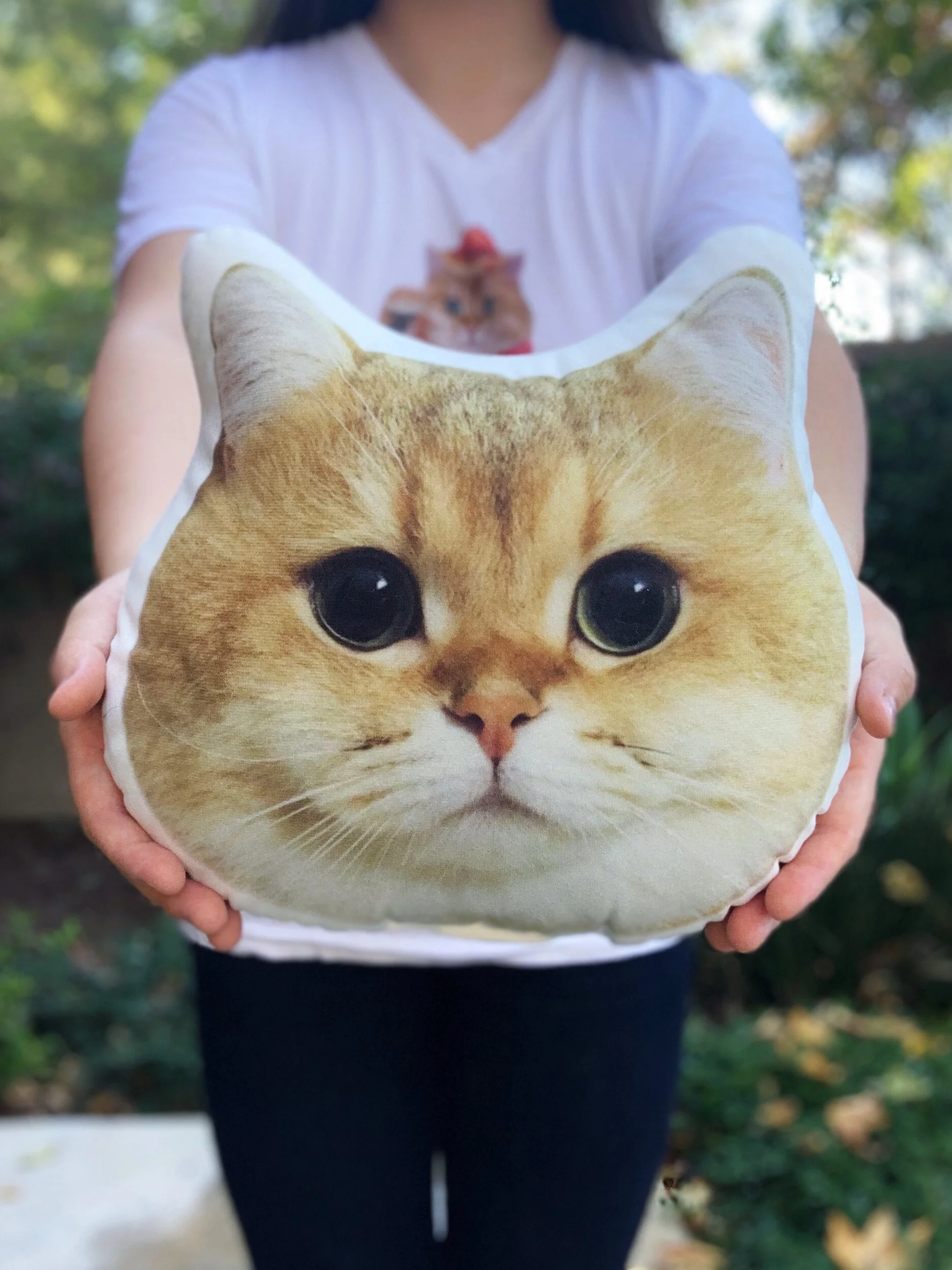 Maple Cat Pillow