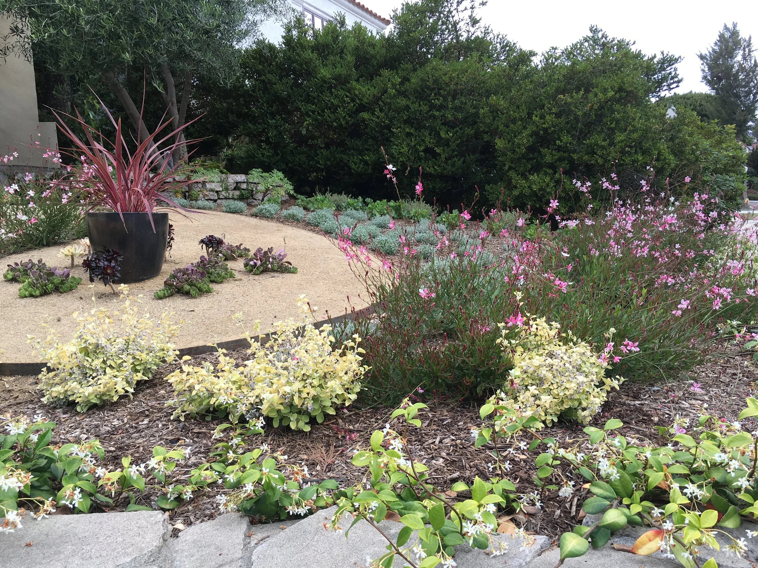 West L.A. Front Yard