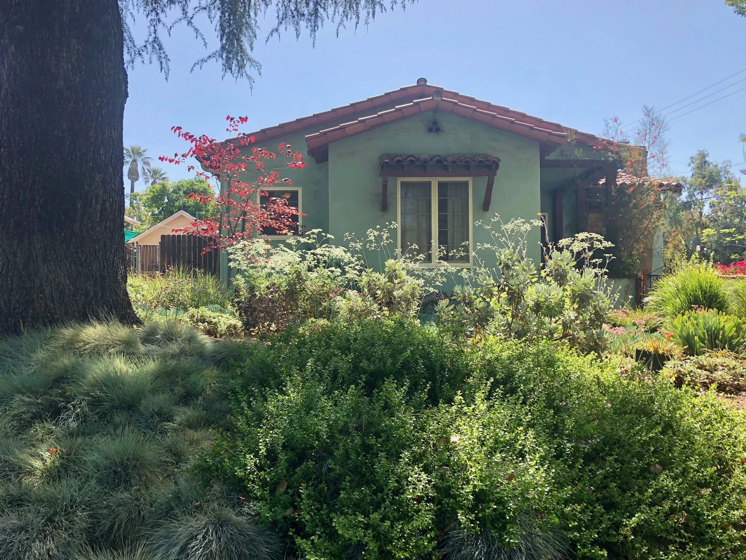 Eagle Rock Front Yard