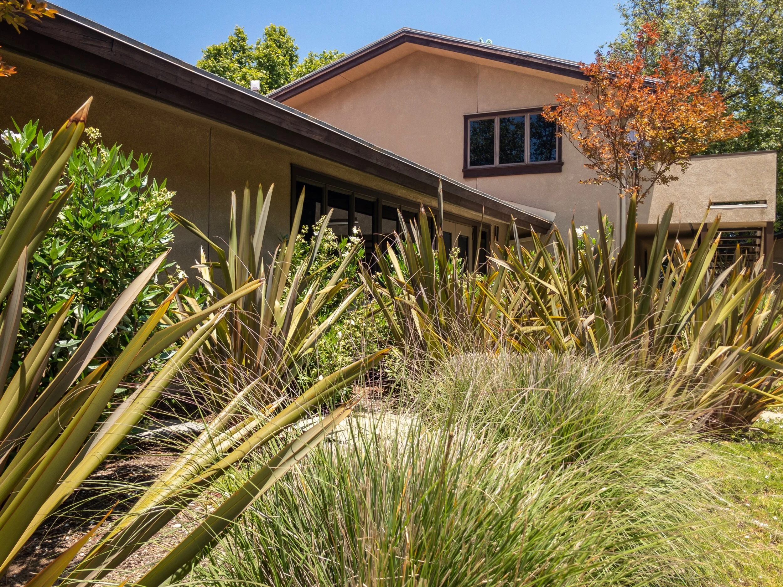 APC_9457-hdr.jpg