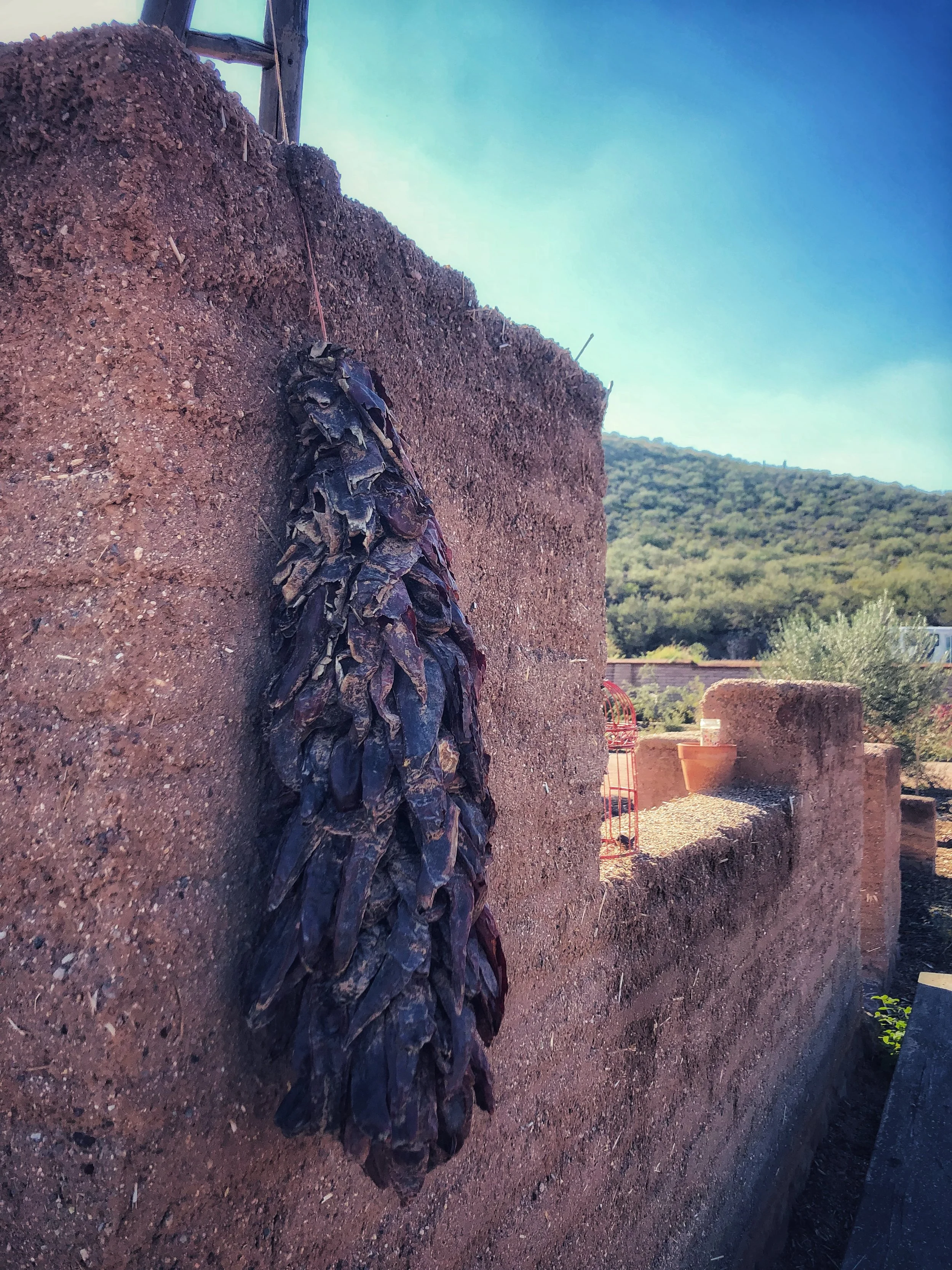 San Agustin Mission Garden