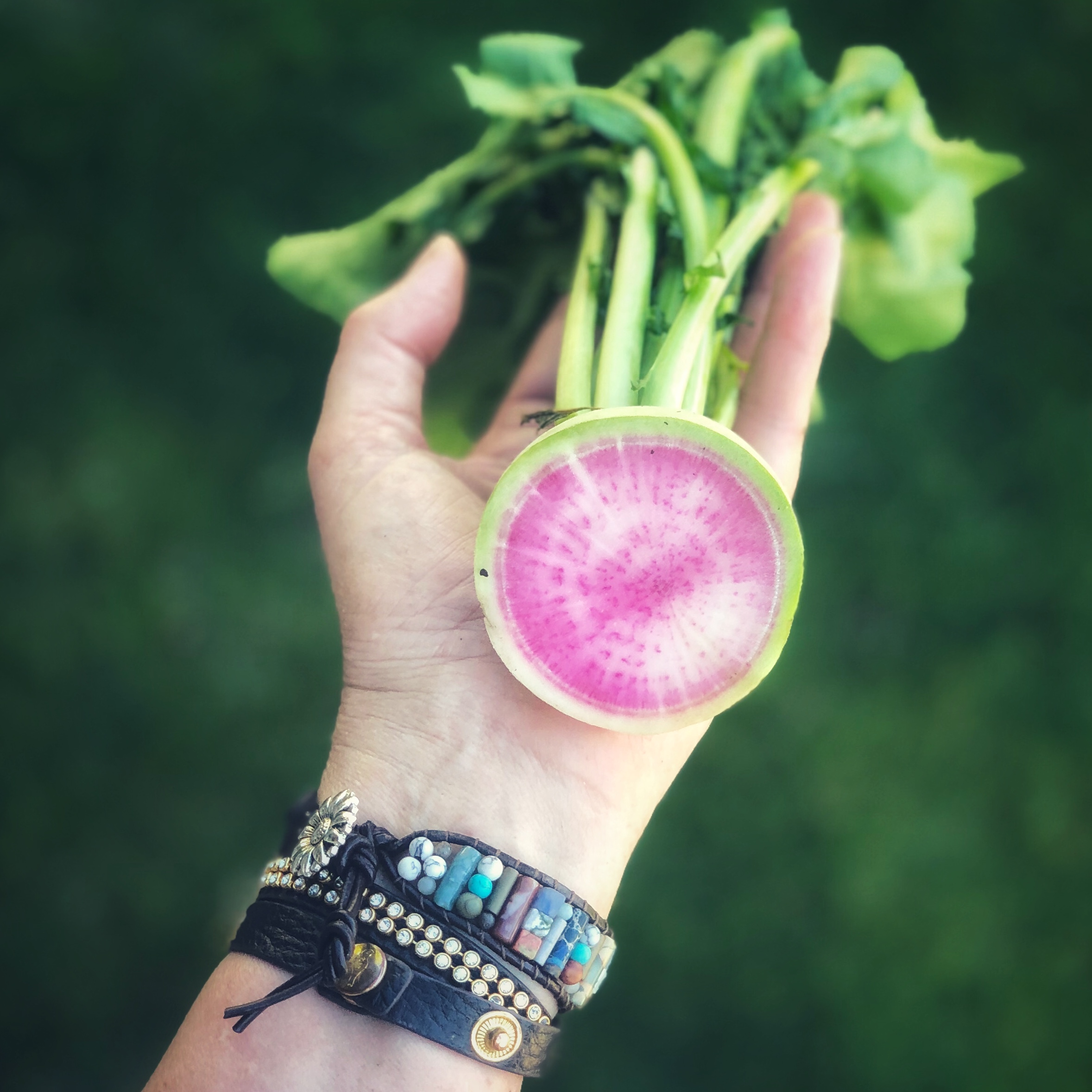 Beauty Heart Radish from my little garden by the lake