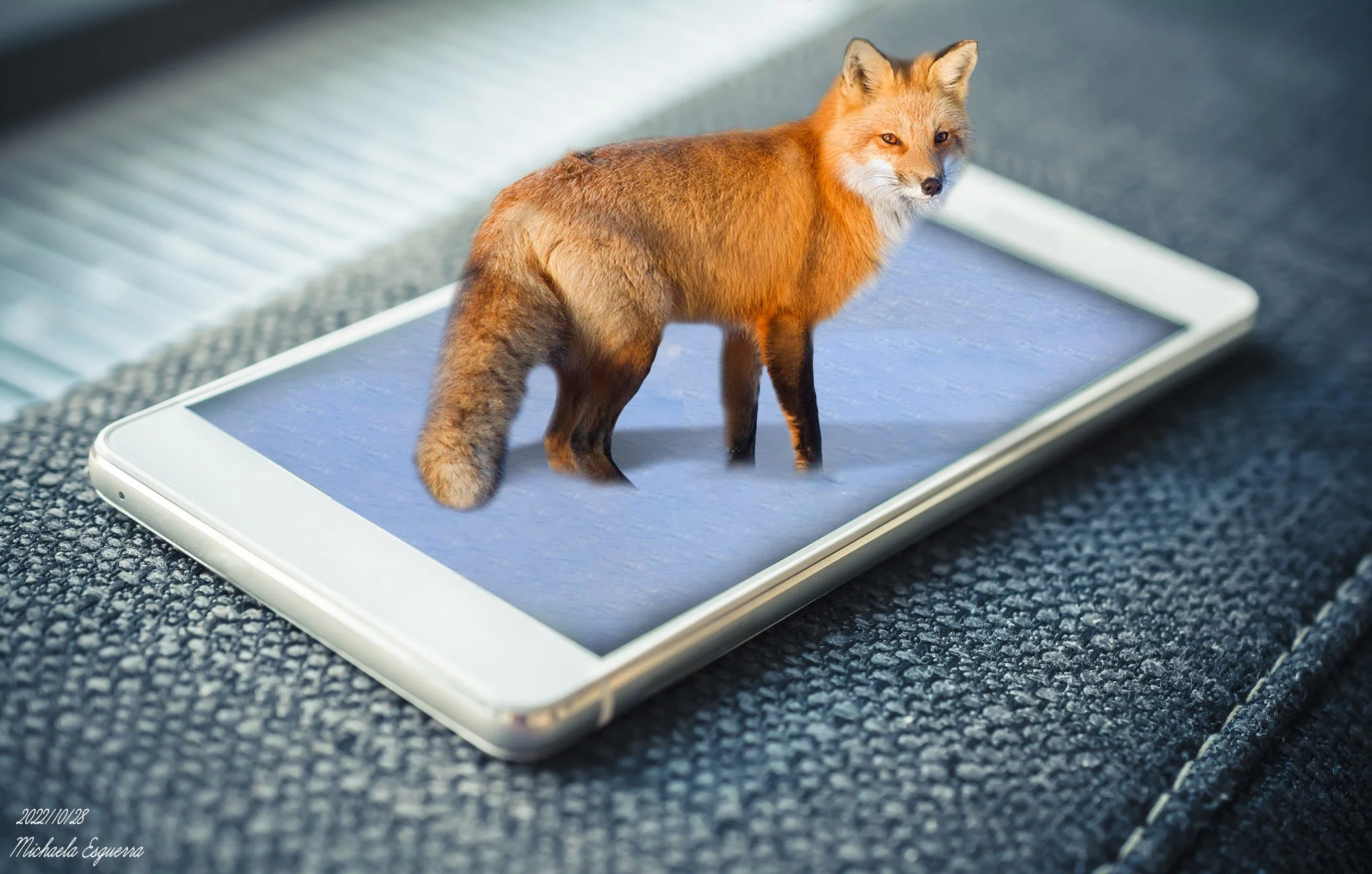 3D/Pop-Up Fox in Phone l 2022
