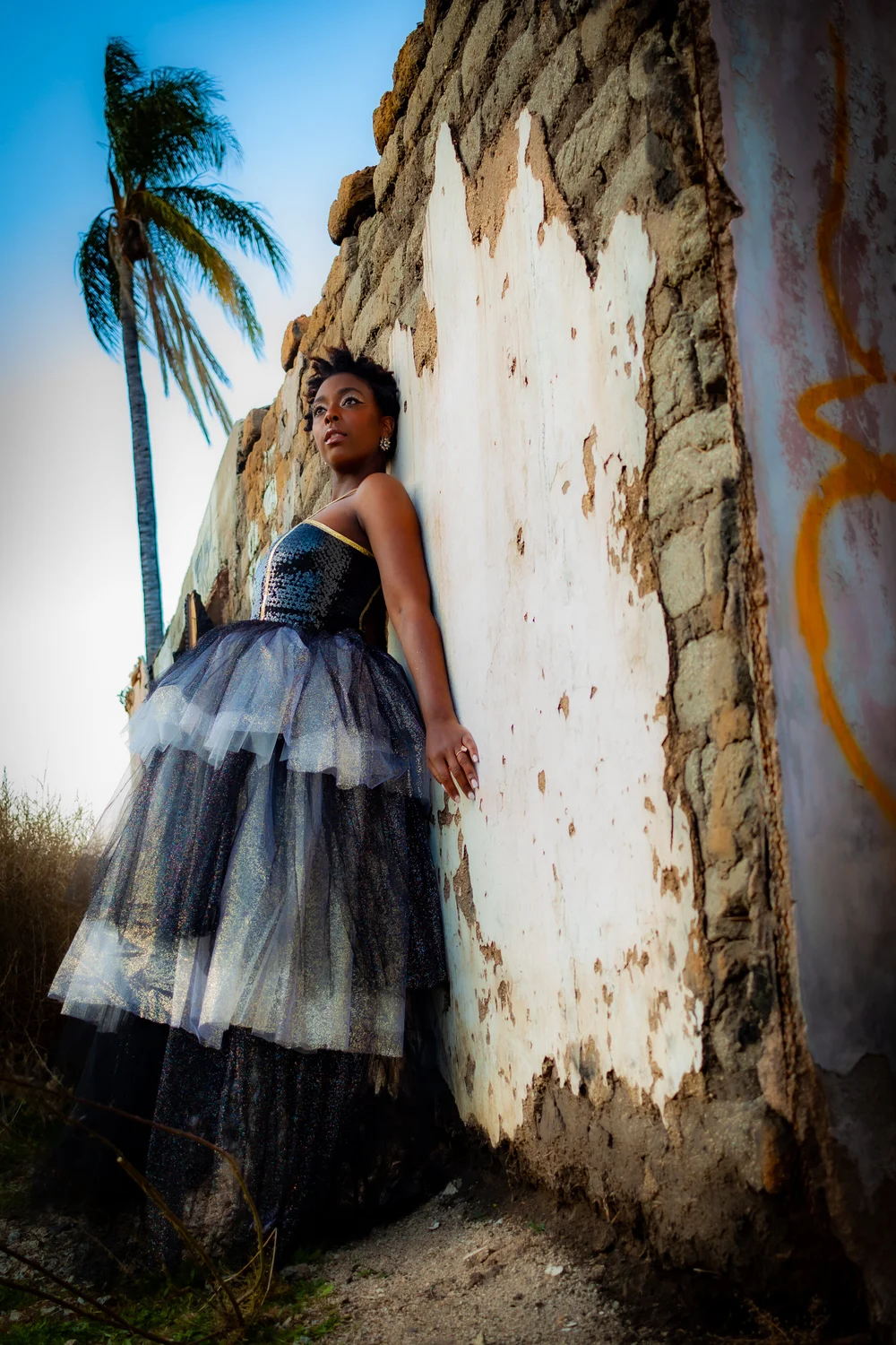 Glitter Tulle Gown  Sierra Mitchell