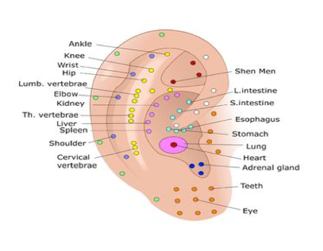 acupressure.jpg