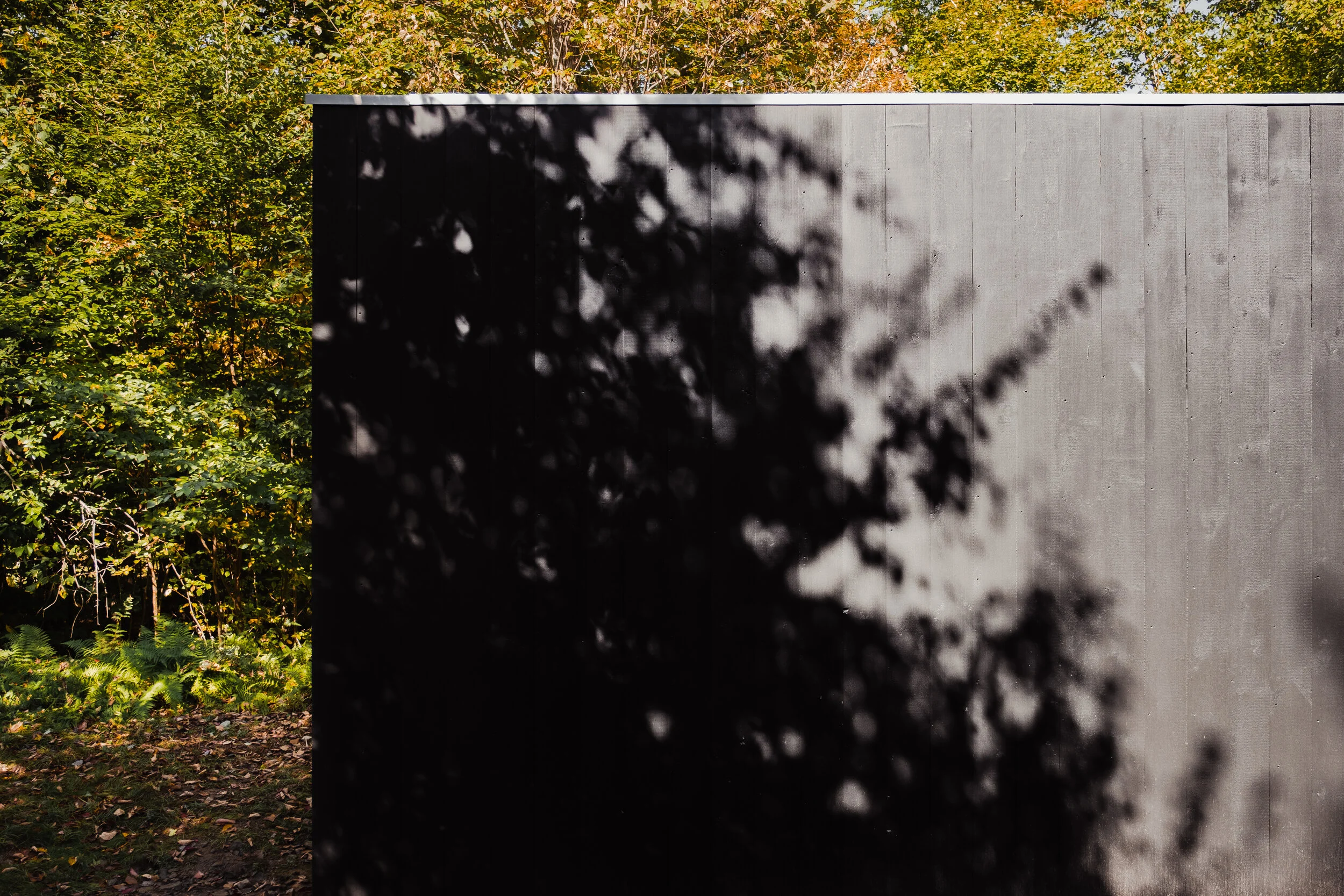 2019.09_NY Upstate.Roscoe_MTD_Cabin_0102.jpg