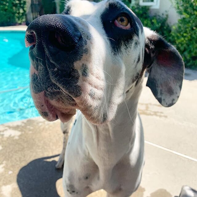 Can we swim yet, mom? 💦