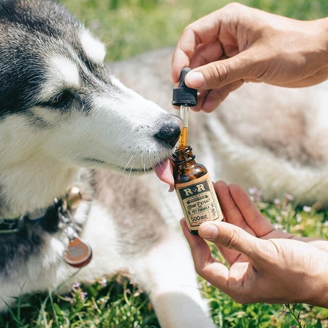 We&rsquo;ve got hemp extract CBD for pets, great for stressful times (aka firework season), pain relief and many other discomforts. Try some for your pet!