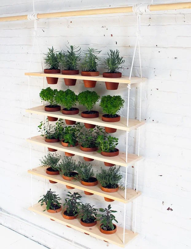 DIY - HANGING HERB GARDEN