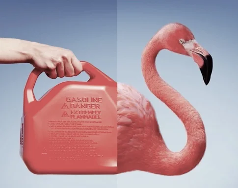qlikflamingothumbdesat.jpg