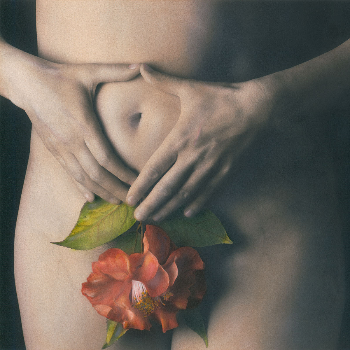 Nude with Camellia