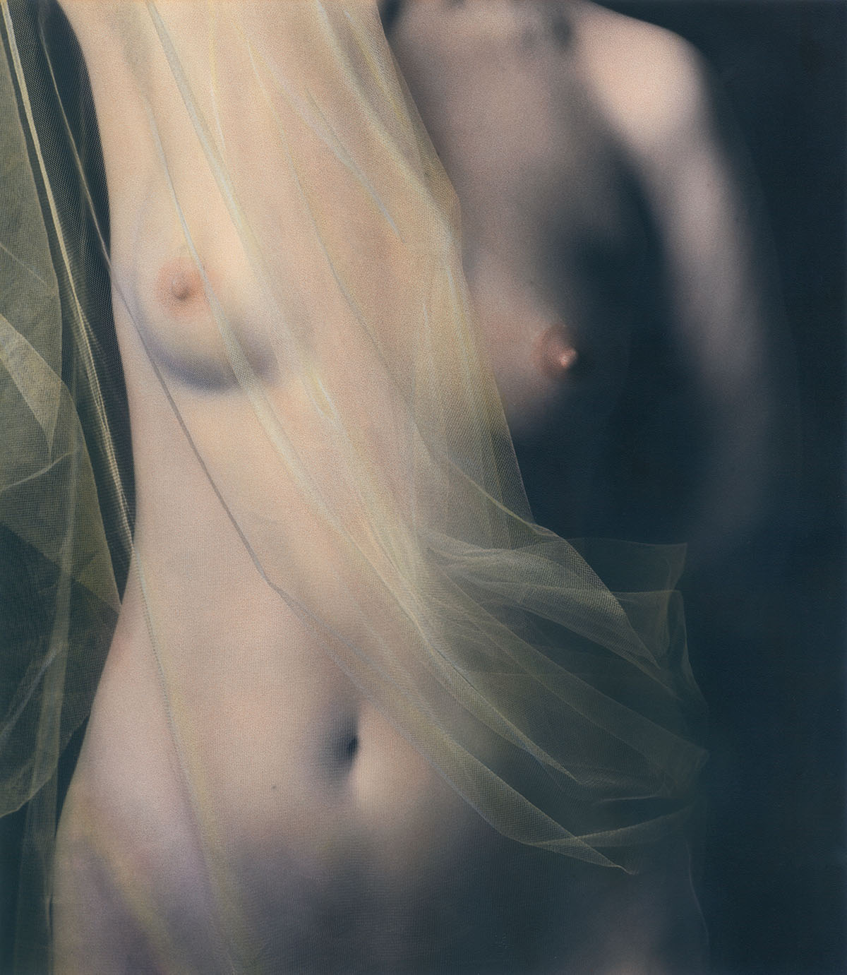 Nude with Netting