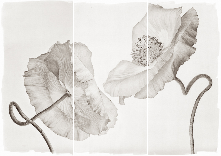 Wedding Poppies
