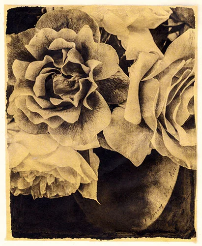 I Bring My Rose