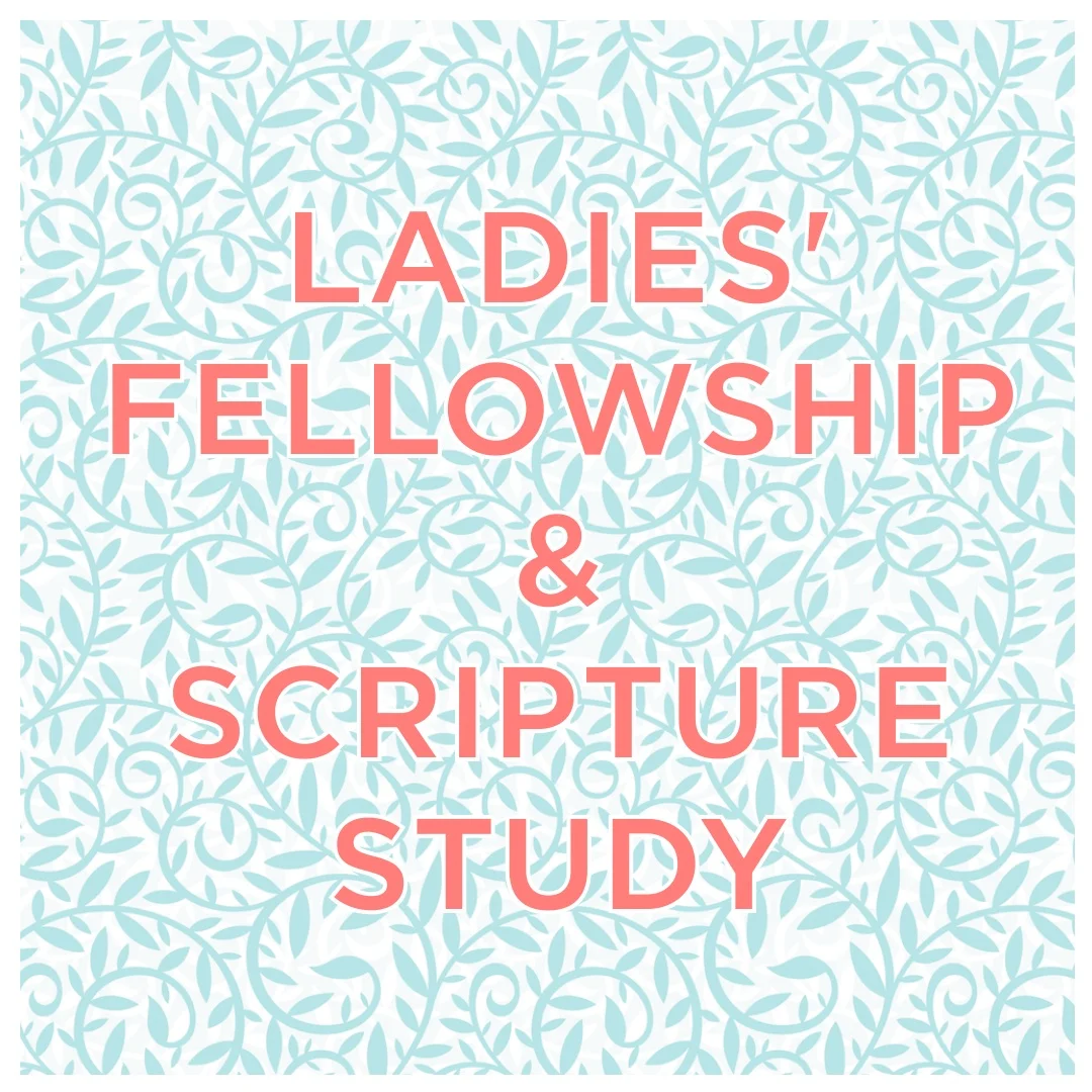Ladies’ January Fellowship and Scripture Study