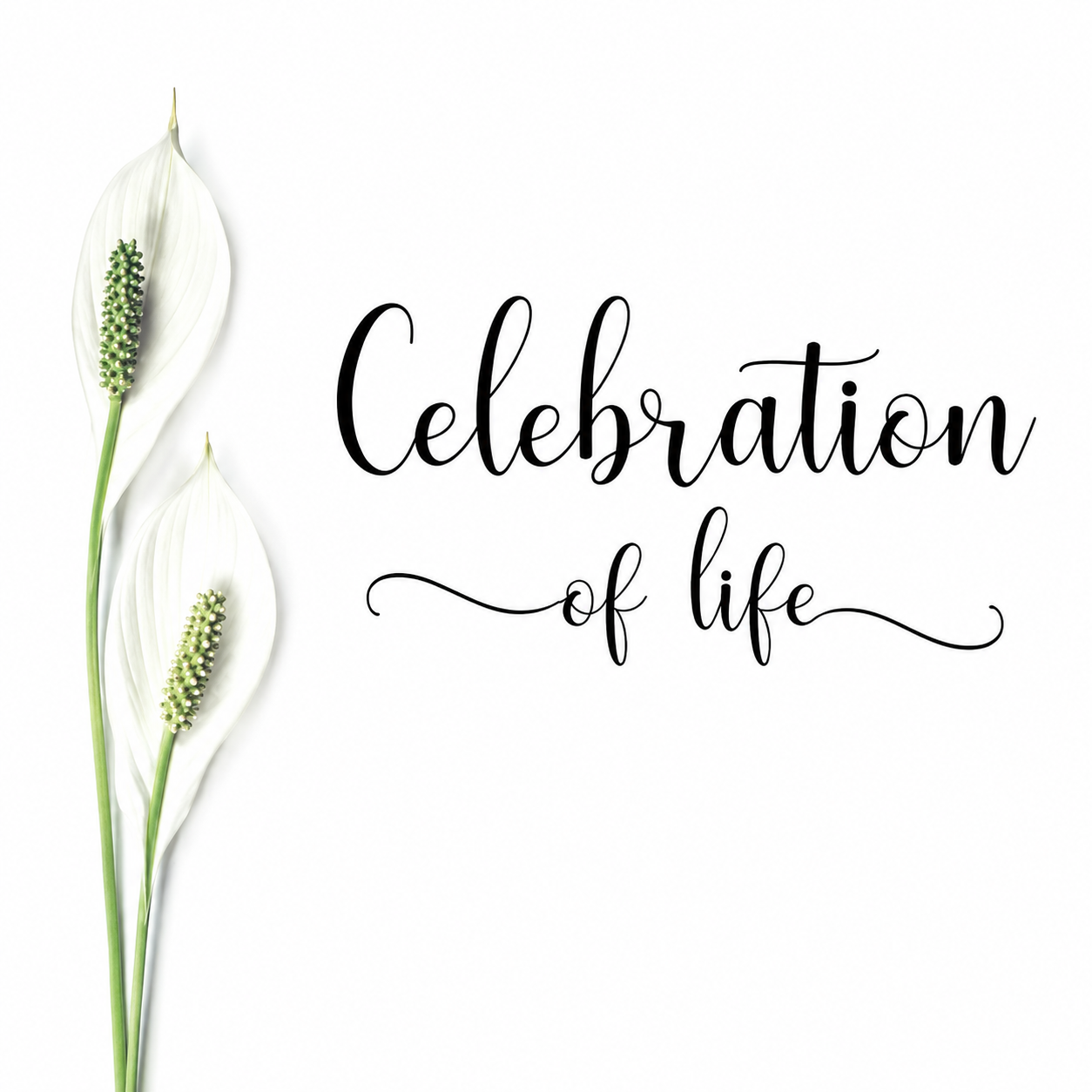 Celebration Of Life for David Fallin