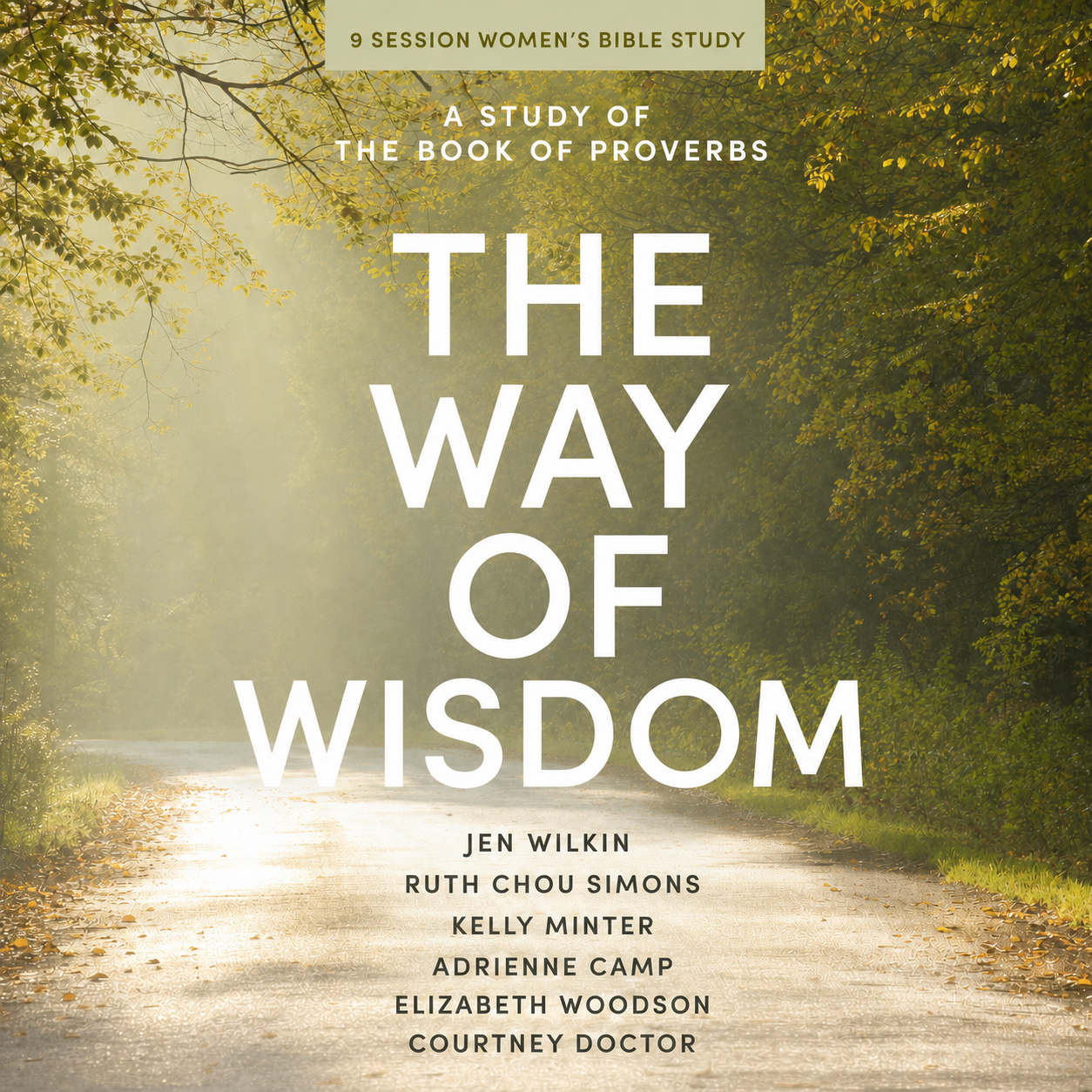 Women's Bible Study: The Way of Wisdom
