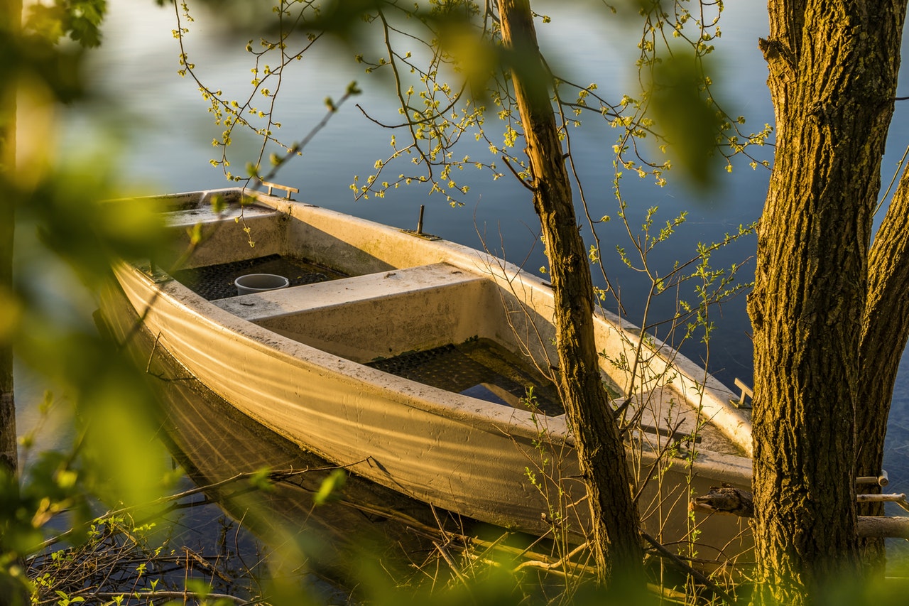 boat in trees.jpeg