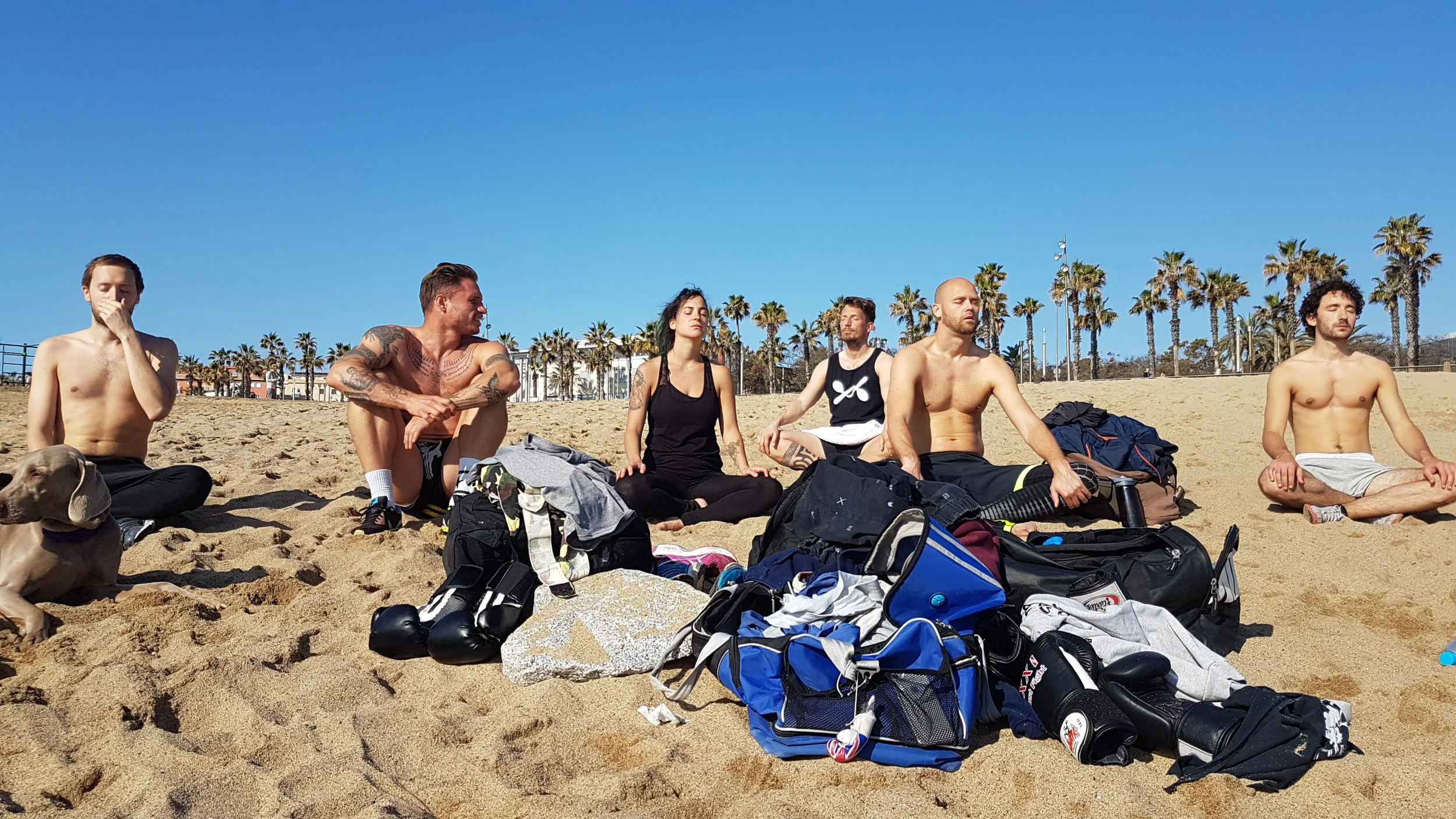 20170403_102701.jpg