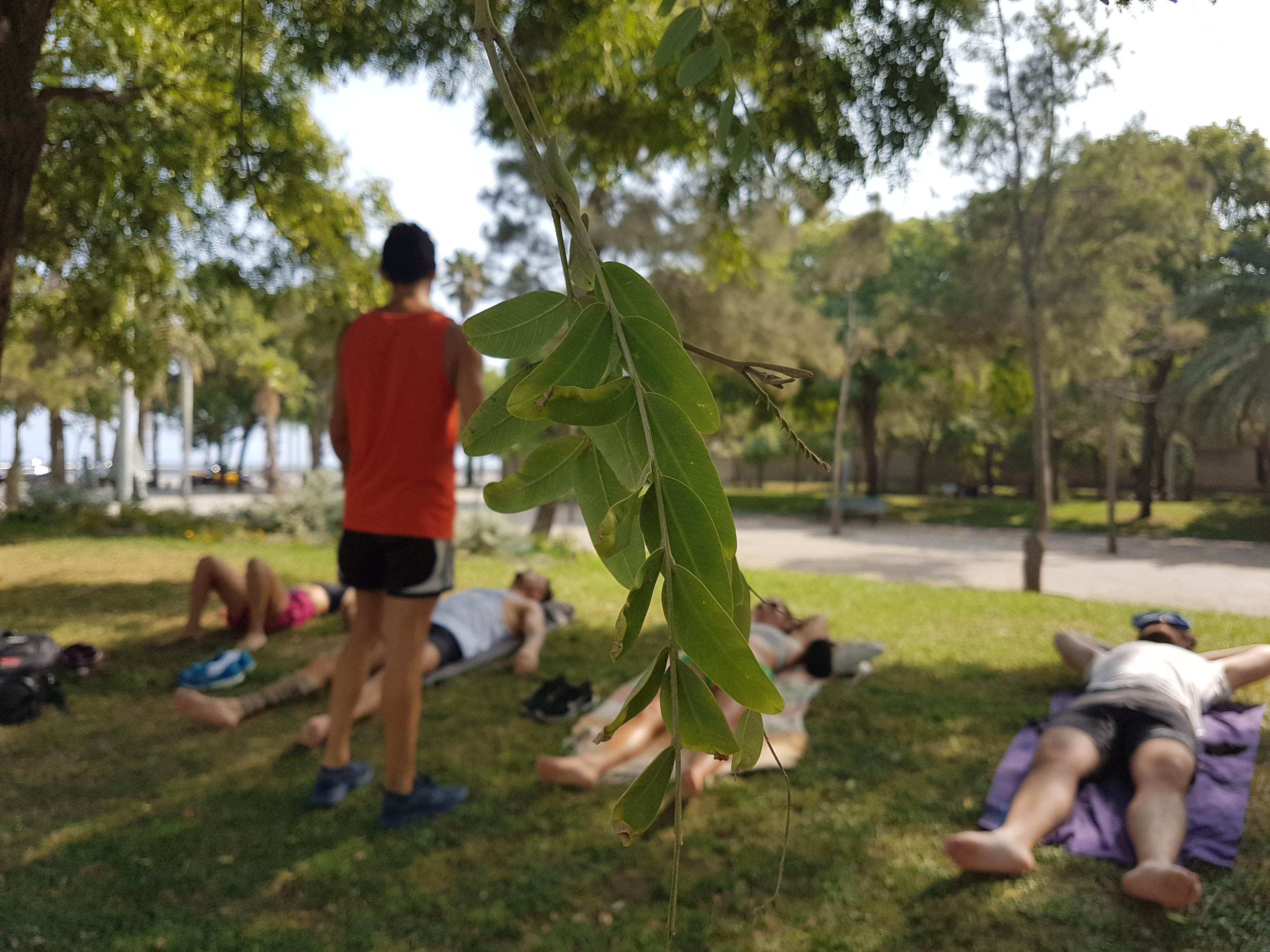 20170819_162214.jpg