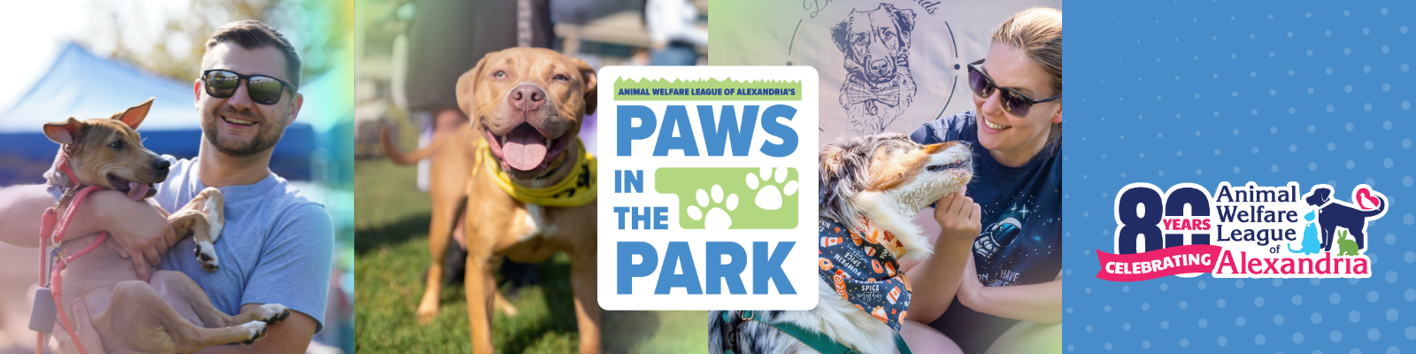 Google Form Headers (2).png