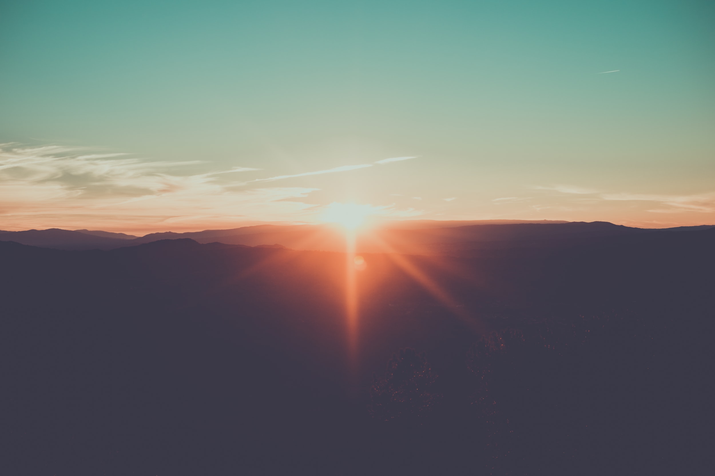 What have you been up to during the pandemic? 